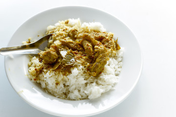 Thai food Rice and Curry with roasted pork