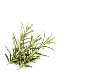 rosemary isolated on white background
