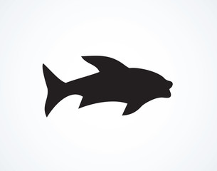 Narwhal. Vector drFish. Vector drawingawing