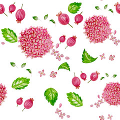 Hydrangea pink flowers