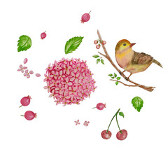 Hydrangea pink flowers And birds