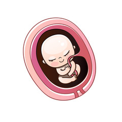 Embryo month stage growth pregnancy. Human fetus inside the womb months.Vector illustrations.