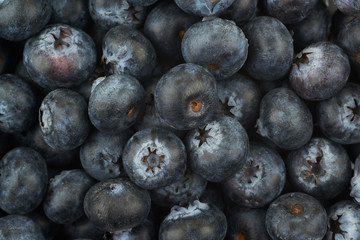 Surface coated with the blueberries