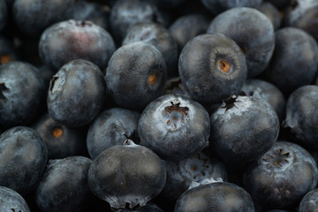 Surface coated with the blueberries