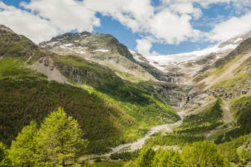 Bernina, Alp Grüm, Gletscher, Palü Gletscher, Alpen, Piz Canton, Piz Varuna, Berninapass, Wanderweg, Lagh da Palü, Lärchenwald, Graubünden, Sommer, Schweiz