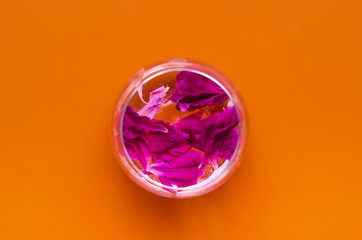 Glass with water and peony flower petals on color background.
