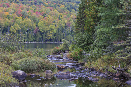 A creek flows into Lake Bouchard in La Mauricie National Park, Qu&eacute;bec, Canada