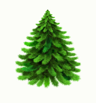 Christmas tree vector isolated on white background. Winter, xmas design element. Realistic vector icon of pine, coniferous tree, evergreen tree, spruce, fir, cedar. Christmas, New Year symbol. EPS10