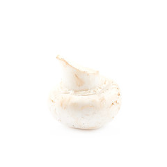 Raw champignon composition