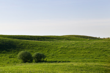 Fototapeta premium landscape at dawn
