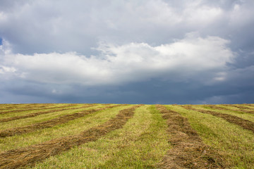 Meadow with line of hay and cloudy sky, Czech republic