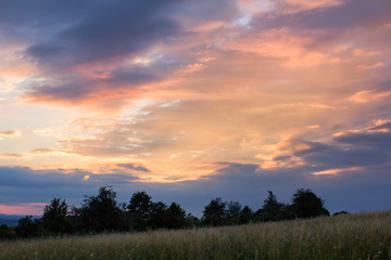 Fototapeta na wymiar Nice sunset with trees silhouette and meadow