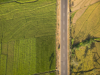 Green rice field aerial top view; Yogyakarta, Indonesia - 15 July 2018