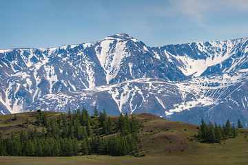 Mountain landscape with green larch against the backdrop of towering mountain peaks.