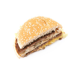 Generic burger composition isolated