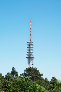 telecommunications tower over treetops