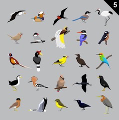 Various Birds Cartoon Vector Illustration 5