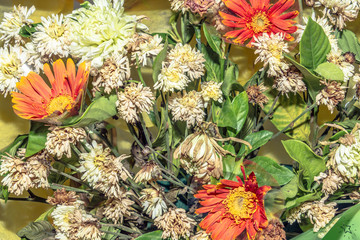 Obraz premium Close up group of white, orange and yellow dried flowers and leaves in vintage tone.