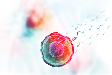 Human egg cell on science background - obrazy, fototapety, plakaty