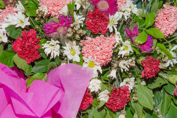 Close up group of red, white and pink flowers and leaves in colorful tone.