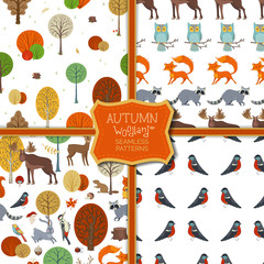 Set of vector autumn woodland seamless patterns.