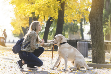 A young blonde crouched next to her pet Labrador for a walk in the park.