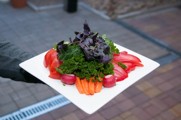 hand of  bears a dish with vegetables