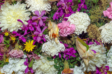 Close up group of yellow, white and pink   flowers and leaves in colorful tone.