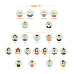 Fototapeta premium Vector family tree genealogy branches template