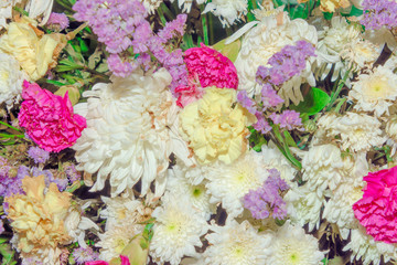 Close up group of yellow, white and pink   flowers and leaves in colorful tone.