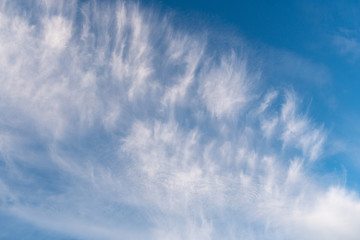 Cirrus white clouds on a blue sky.