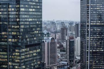 Fototapeta na wymiar office building exterior and cityscape in Shanghai