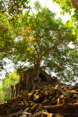 Beng Mealea　