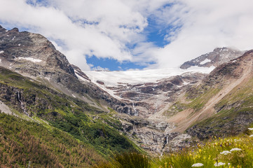Fototapeta premium Bernina, Alp Grüm, Gletscher, Palü Gletscher, Palü, Alpen, Graubünden, Berninapass, Wanderweg, Bergsee, Bergblumen, Bergwiese, Sommer, Schweiz