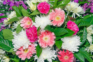 Close up group of white and pink flowers and leaves in colorful tone.