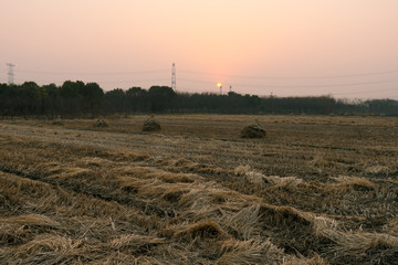 Rural landscape with golden straw bales