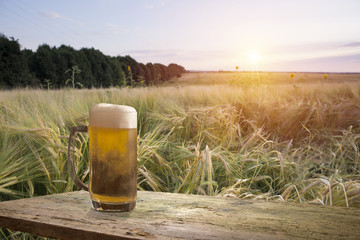 excellent light beer on a wooden table in a landscape