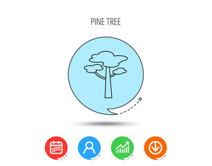 Pine tree icon. Forest wood sign.