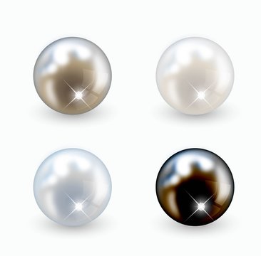 Beautiful vector pearls set