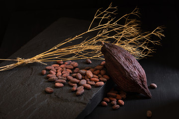 Cocoa beans and cocoa pod on a dark background