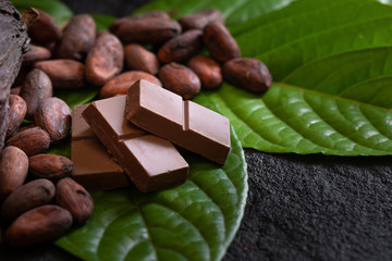 Chocolate bar and cocoa beans on a dark background