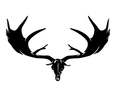 prehistoric Irish elk (Megaloceros giganteus) or giant deer skull and antlers black vector silhouette