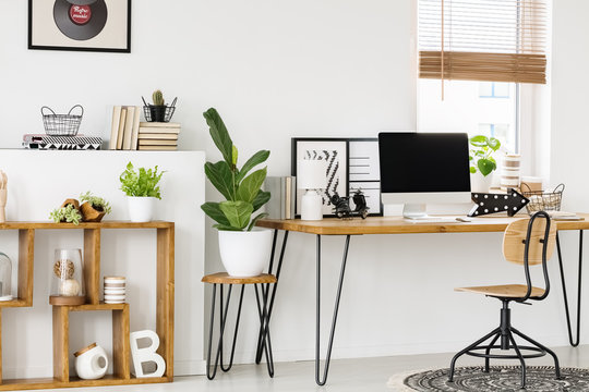 Plant on stool next to wooden desk with computer desktop in white workspace interior. Real photo