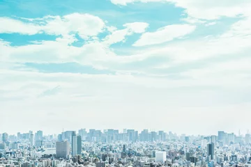 Foto op Canvas Asia Business concept for real estate and corporate construction - panoramic modern city urban skyline bird eye aerial view under sun & blue sky in Tokyo, Japan © voyata
