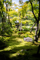 Obraz premium 日本の庭