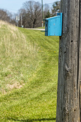 Blue dovecote on a post