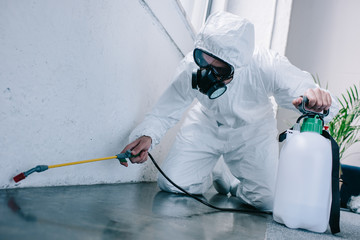 pest control worker spraying pesticides on floor at home - obrazy, fototapety, plakaty
