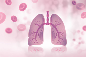 Human lungs on scientific background