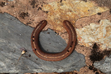 Horse Shoe
