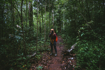 Woman asian travel nature. Travel relax. Walk study the path Nature in the forest